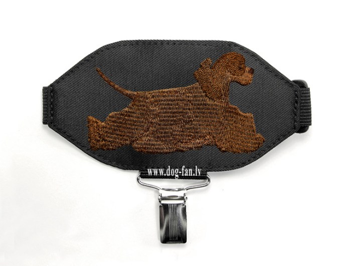 am cocker choco tail copy